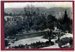 CPSM ALGÉRIE - BOU-SAADA - Hotel Transatlantique - La Piscine - ALGERIA AFRICA AFRIQUE