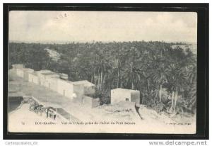 CPA Bou-Saada, Vue de l'Oasis prise de l'Hotel du Petit Sahara