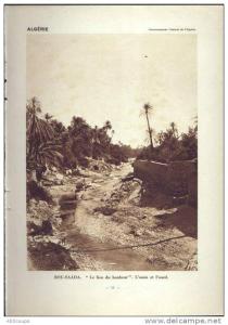 De 1931 - 81 ans d´âge - ALGERIE - BOU-SAADA, le lieu du bonheur, l'oasis et l'oued   BLIDA, bergers arabes et leurs tro