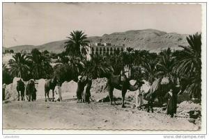 BOU SAADA - HÔTEL TRANSATLANTIQUE - Vu de la Palmeraie