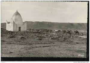 cpsm   BOU.SAADA (Algérie)  Cité du Bonheur  Caravane quittant Bou.Saada