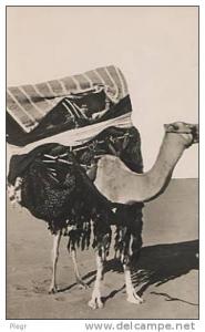 BOU SAADA - 6058 - CITE DU BONHEUR - 1955