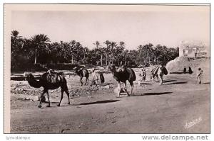 Bou-Saada - L' Arrivee d' une Caravane good shape