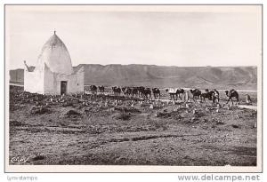 Bou-Saada - Caravane quittant Bou-Saada good shape