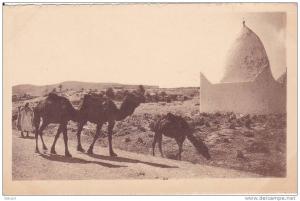 Algérie Bou Saada - Sur la route de Bou Saada