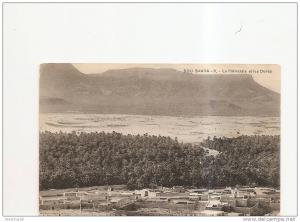 bou saada la palmeraie