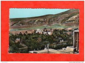 le sud algérien bou-saada cité du bonheur la cuvette du hodna   N°374 h  ,  edit  alexandre sirecky  ,  ( non écrite  )