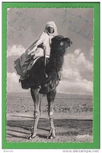 Afrique - Algérie - type de chamelier à Bou Saada  la cité du bonheur