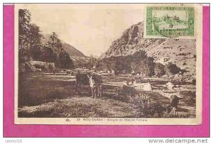 BOU SAADA   -   * LES GORGES DU MOULIN FERRERO *   -    Editeur   C.A.P. de Strasbourg   N°23