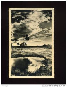 CPSM CARTE PHOTO ALGERIE BOU SAADA COUCHER DE SOLEIL