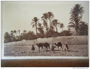 ALGERIE - BOU-SAADA - caravane dans l'oued - CPA n°34