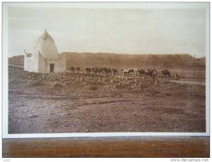 ALGERIE - caravane quittant BOU-SAADA