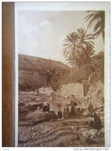 ALGERIE - BOU-SAADA - laveuses dans l´oasis