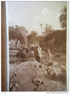 ALGERIE - BOU-SAADA - aragua dans l'oasis