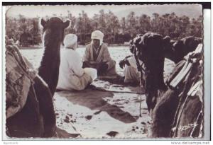 Bou Saada - Chameliers