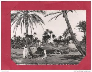 BOU-SAADA   cité du bonheur   campement