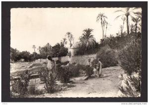 CPSM Afrique  Algérie _ Alger _ Bou-Saada