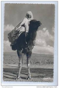 51. BOU-SAADA -   Cité du Bonheur   - TYPE DE CHAMELIER