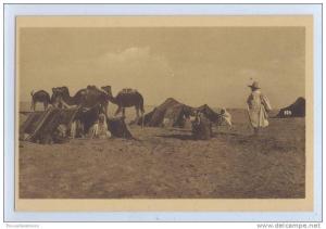 374. BOU-SAADA - CAMPEMENT DANS LES DUNES