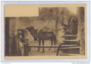 108. BOU-SAADA - UN FOUDOUCK