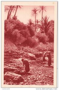 Algérie - Bou Saada - la rivière - Editeur S.P.G.A