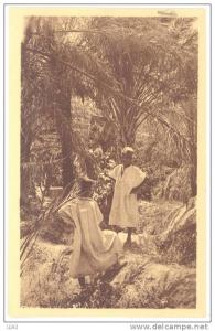 CPA ALGERIE - 807. BOU-SAADA - Dans les jardins de l'oasis