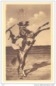 CPA ALGERIE - 133. BOU-SAADA - Cheval cabré