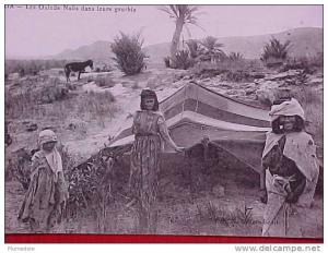 cpa Algérie BOU SAADA Les OULEDS NAILS dans leurs GOURBIS  animation , tente, ane , enfant femmes  **  Achat Direct **