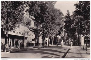 AUMALE Avenue de Bou-Saada