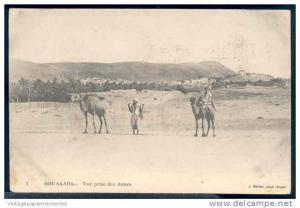 167905-Algeria, Bou Saada, Vue Prise des Dunes, Camels, J. Gelser No 1