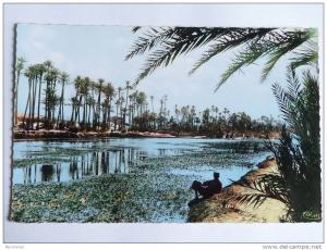 BOU SAADA - La Rivière