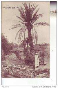 ALGERIE -  BOU SAADA - la prière du soir au désert - N. Seltem - d4 825