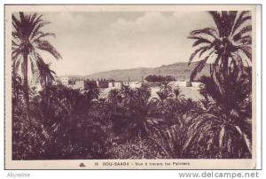 ALGERIE - BOU SAADA - vue à travers les palmiers (timbre d´algérie) - nr 19 CAP à strasbourg - d10 102