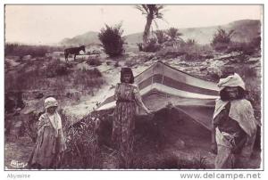 ALGERIE - cpsm BOU SAADA - les ouleds nails dans leurs gourbis - combier à macon - d10 15