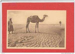 BOU SAADA cpa animée Sur une Crete                  29 Edit R Prouho