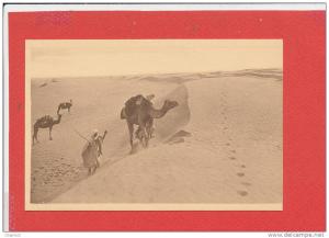 BOU SAADA cpa animée Passage difficile dans les Dunes             31 Edit R Prouho