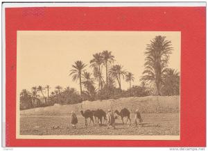 BOU SAADA cpa animée Caravane dans l' Oued          34 Edit R Prouho