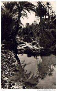 ALGERIE  BOU-SAADA  Une Oasis  ...... ( Ref FA884 )