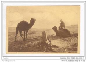 Bou-Saada, Algeria, Pu-1929