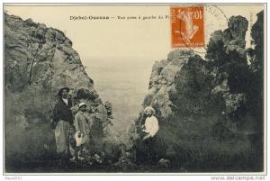 DJEBEL-  OUENZA  N351