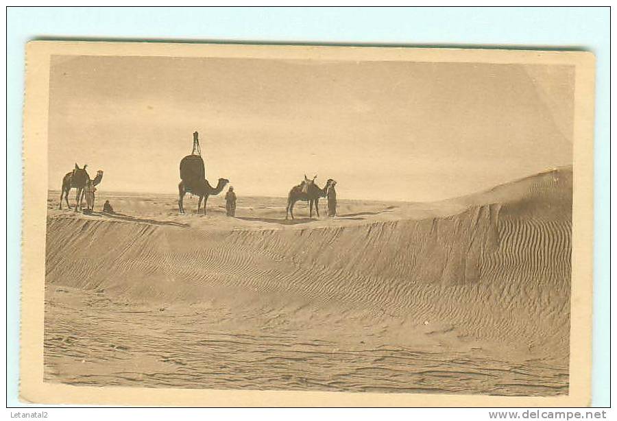 BOU-SAADA / Caravane dans les Dunes