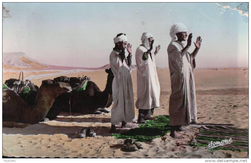 PORT GRATUIT   8300    BOU  SAADA