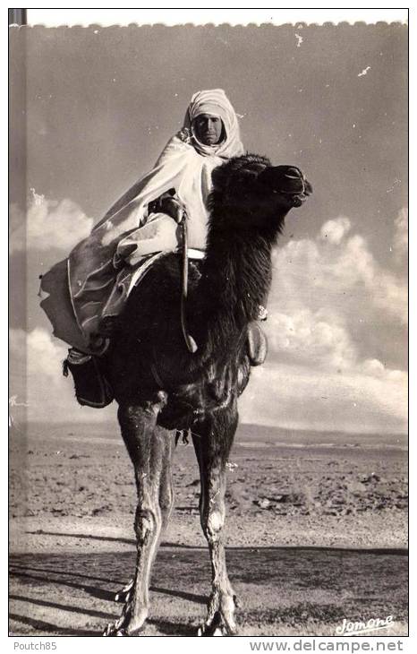 PORT GRATUIT    8270 CHAMELIER   BOU SAADA