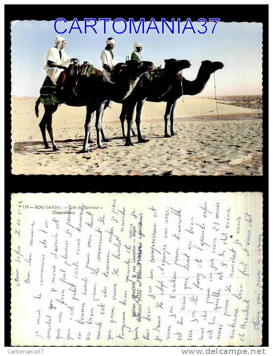afrique-1639      algerie bou saada chameaux