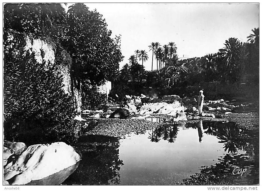 BOU SAADA L'OUED ET LES GORGES