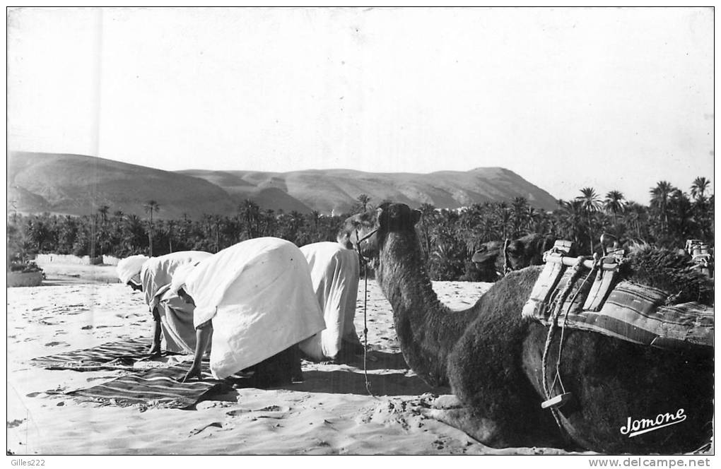 ALGERIE 120  CPSM petit format  BOU SAADA  cité du bonheur l'heure de la prière     belle carte