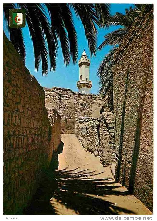 Algérie - Bou Saada - La Mosquée - Voir Scans Recto-Verso