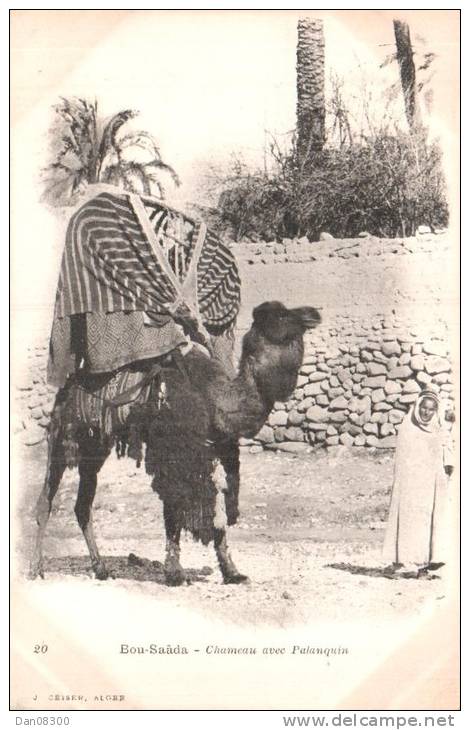 ALGERIE BOU SAADA CHAMEAU AVEC PALANQUIN CARTE PRECURSEUR CIRCULEE 190?