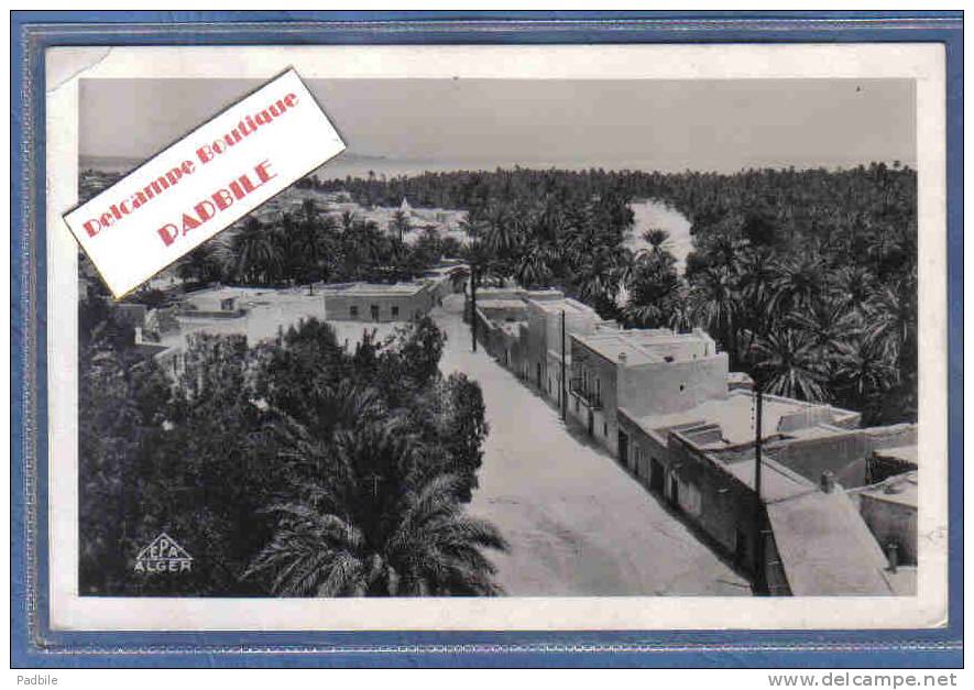 carte postale Algérie Bou-Saada  rue Arabe et Oasis trés beau plan