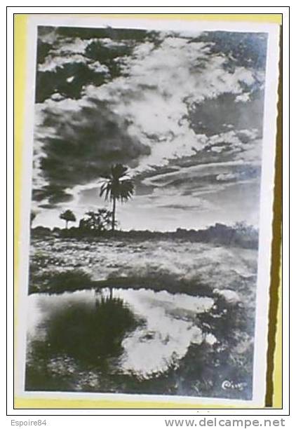 C. Postale  ALGERIE - BOU-SAADA - COUCHER DE SOLEIL